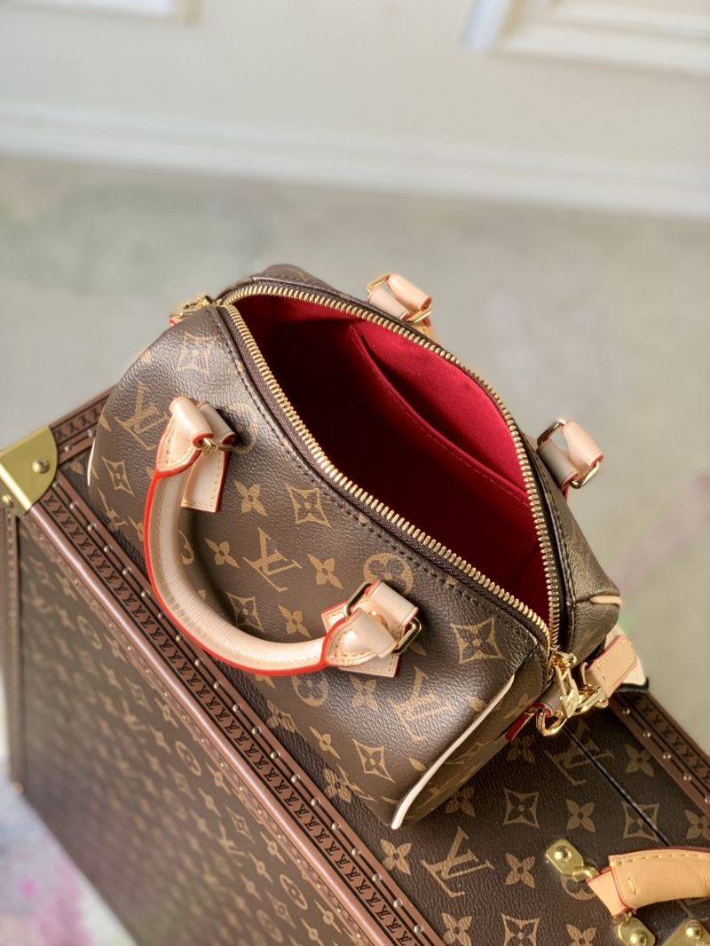 LV Speedy Bags